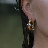 Corail oorbel