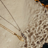 Shell Tide Necklace